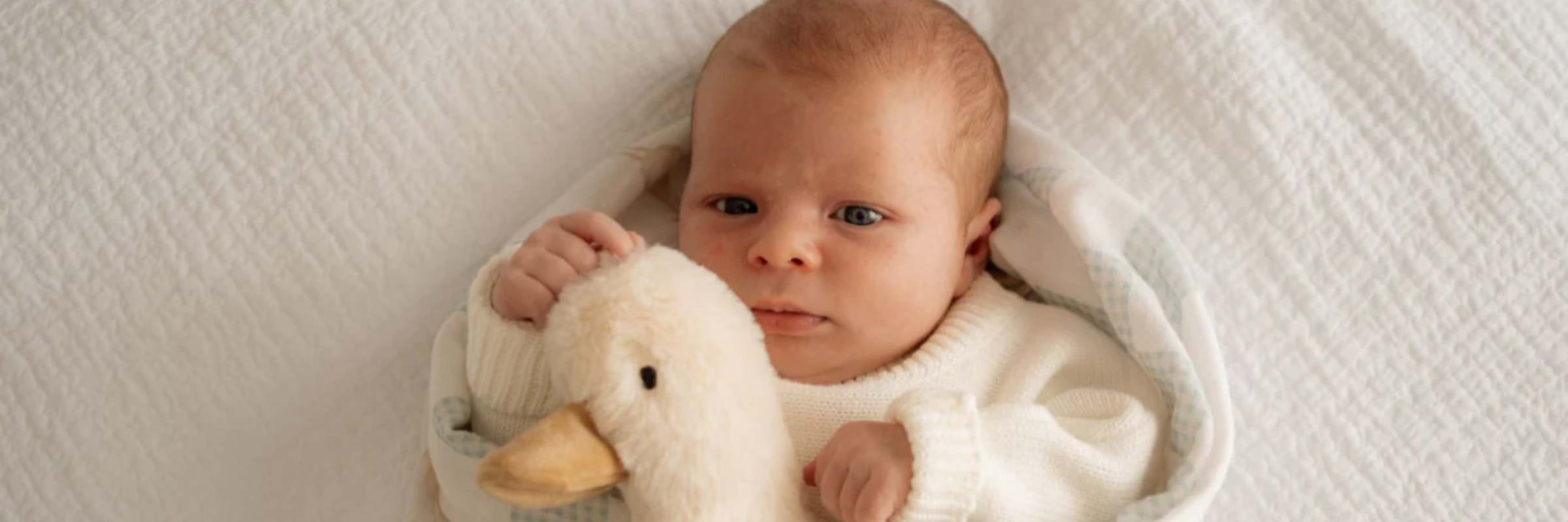 Soft Toys & Comforters