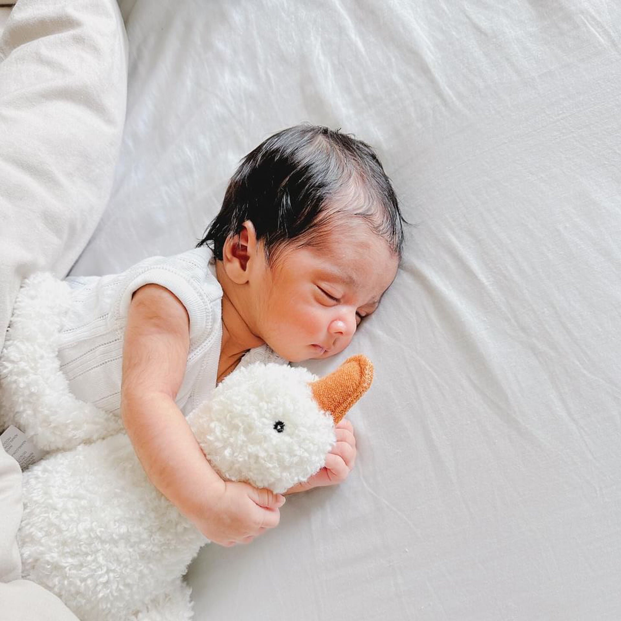 Goose Plush Comforter