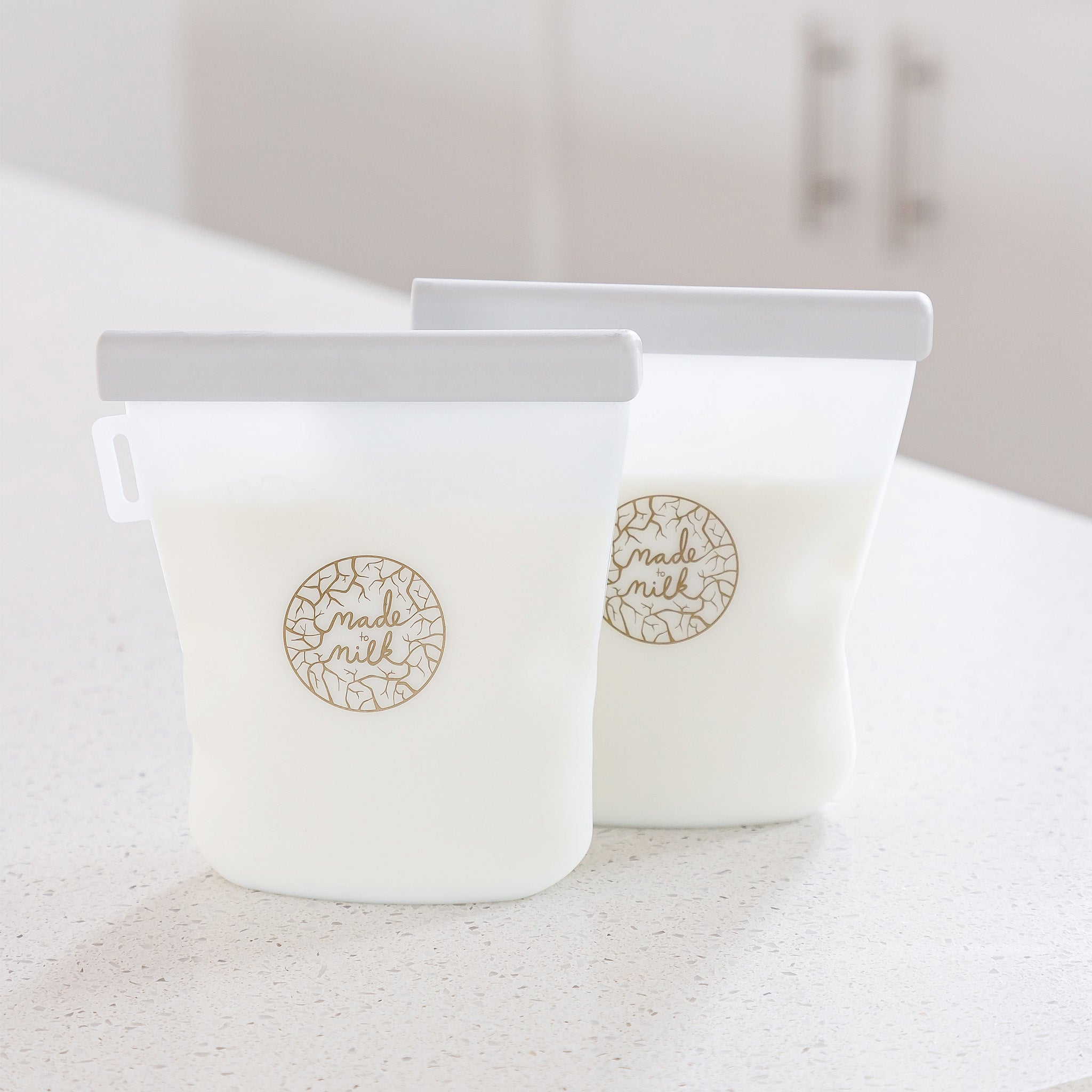 Breastmilk Storage Bags (2 Pack)