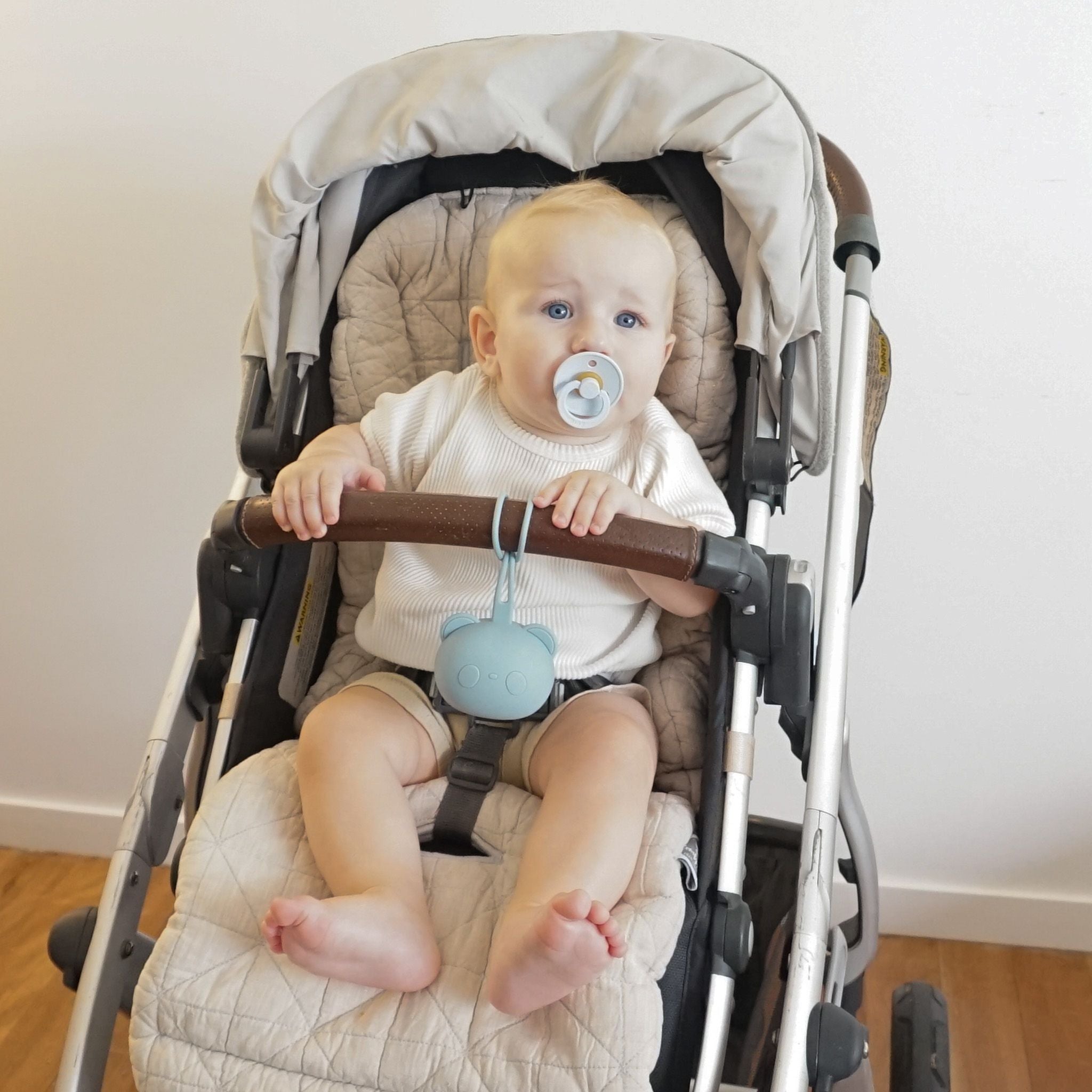 Panda Pacifier/Dummy Holder