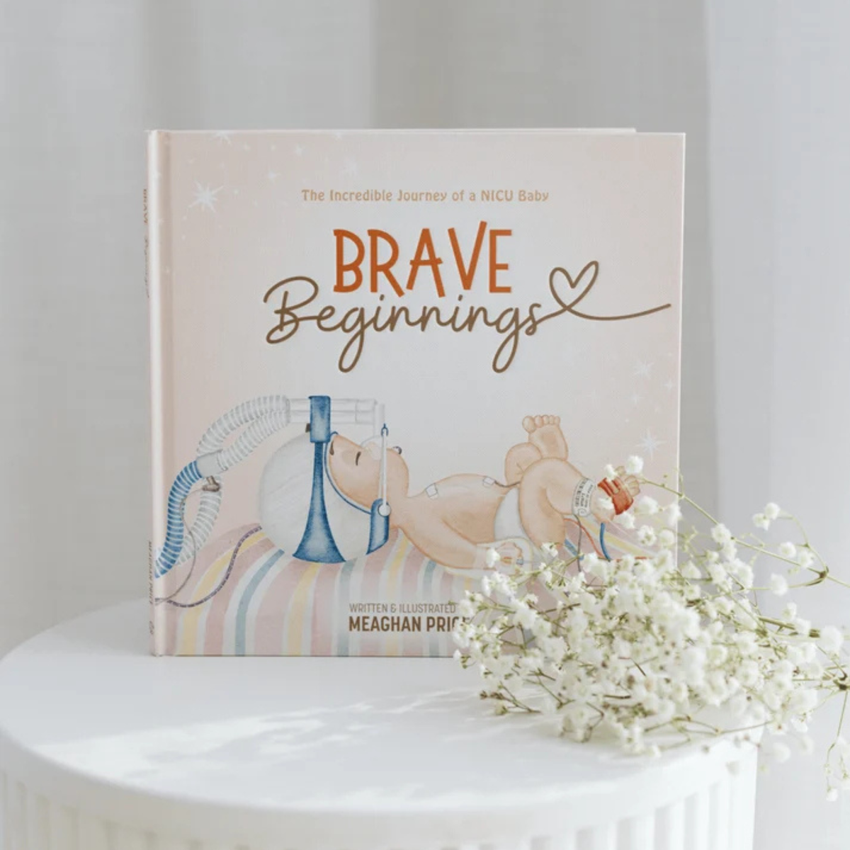 Brave Beginnings: NICU Picture Book