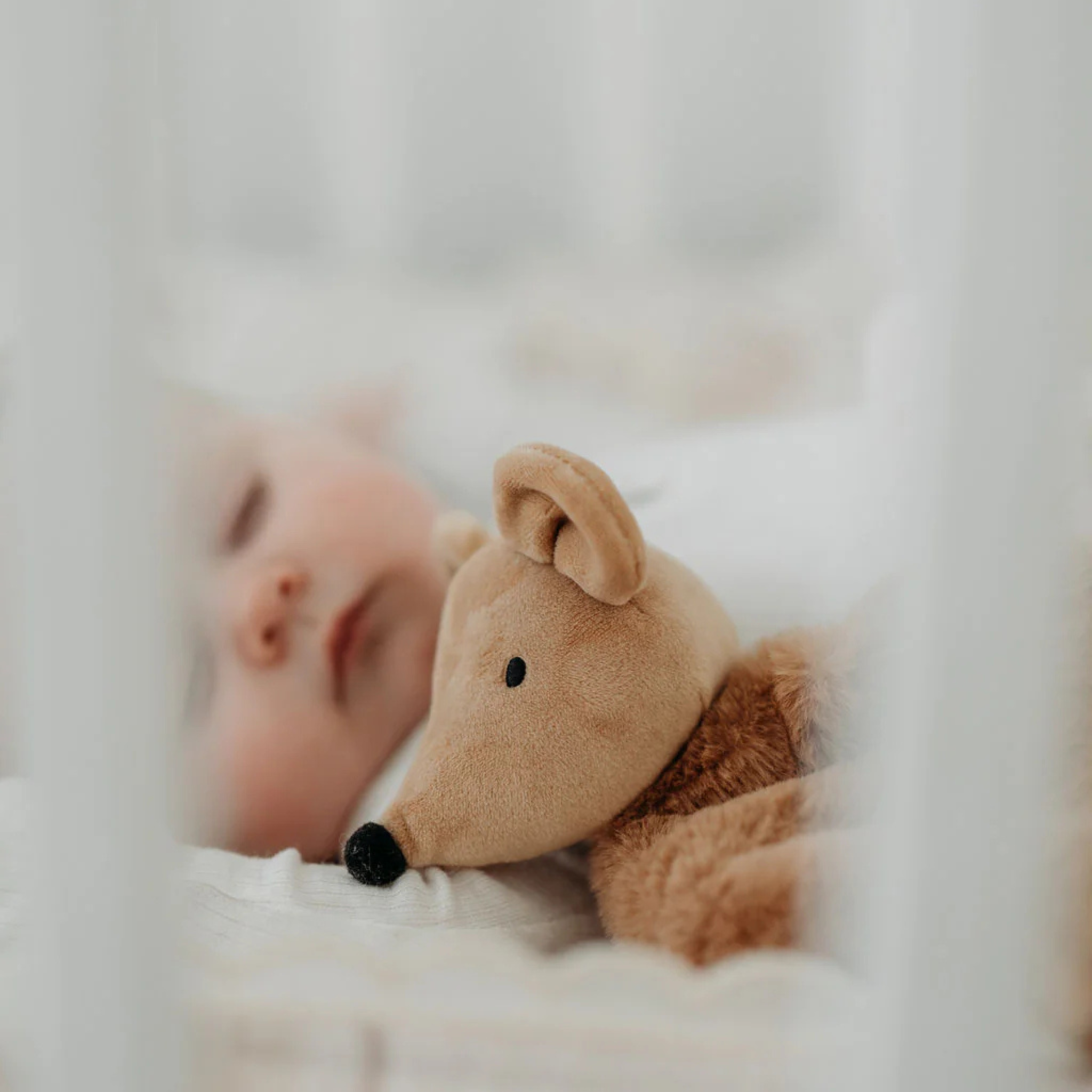Squeaky the Sweet Comforter Toy