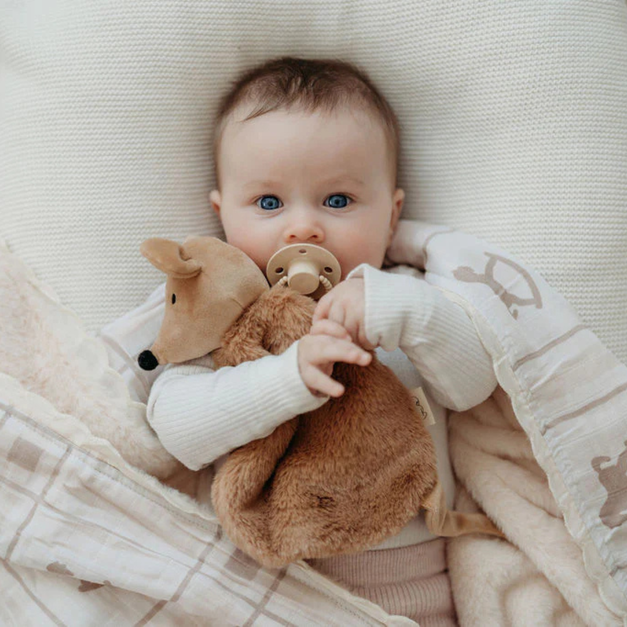 Squeaky the Sweet Comforter Toy
