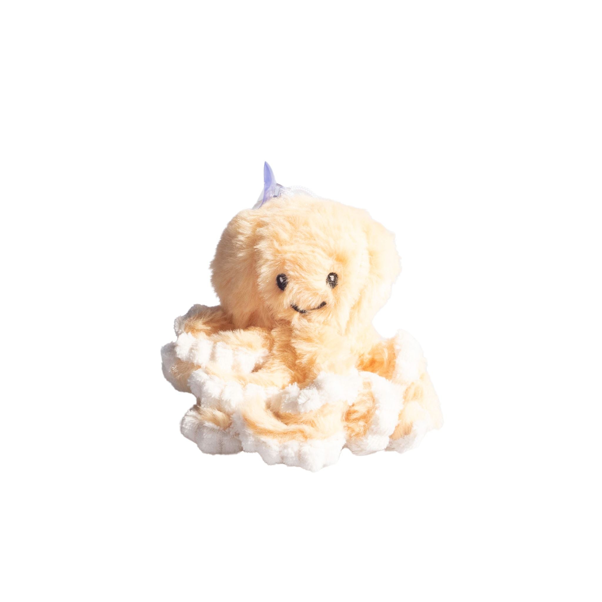 Sunny The Isolette Octopus