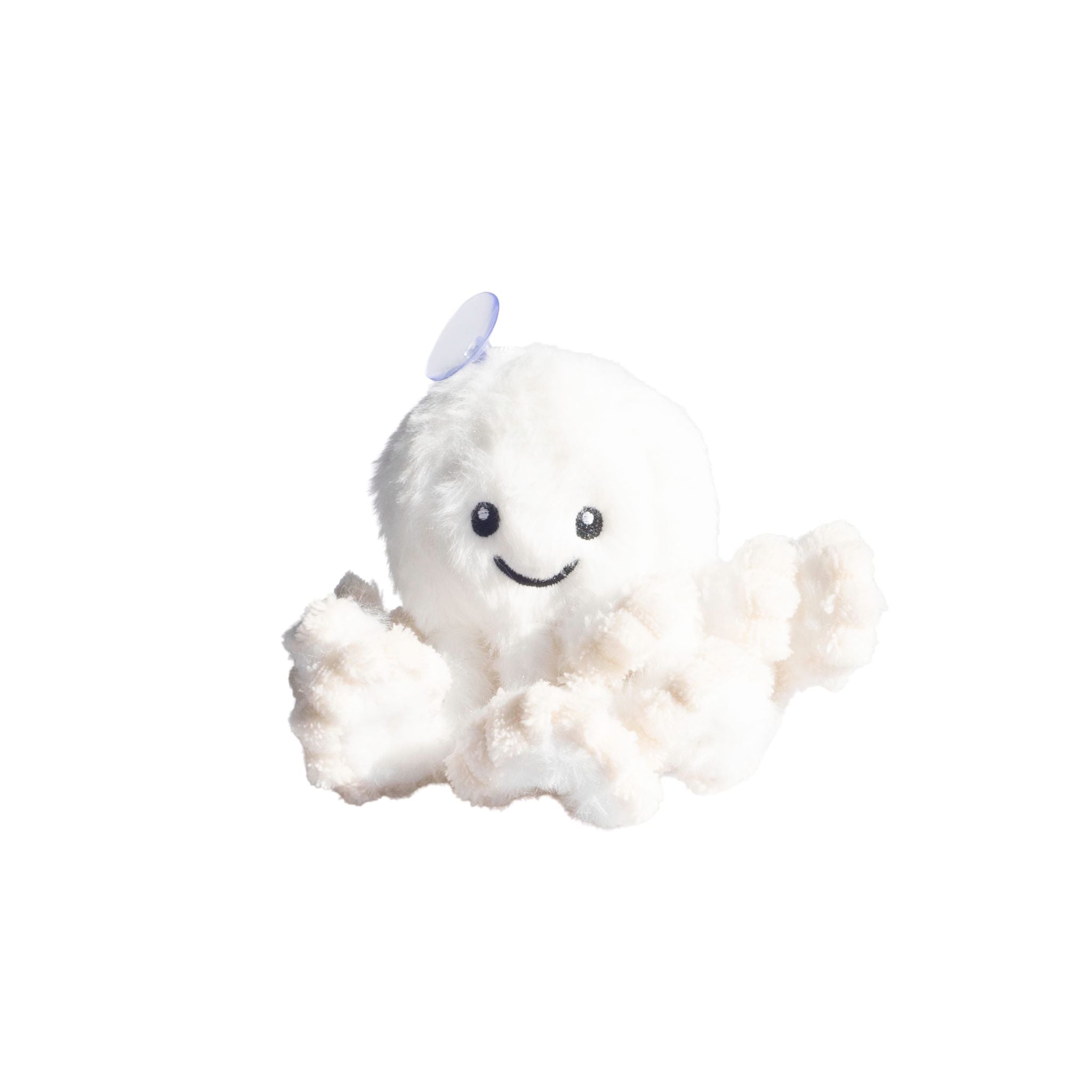 Sunny The Isolette Octopus