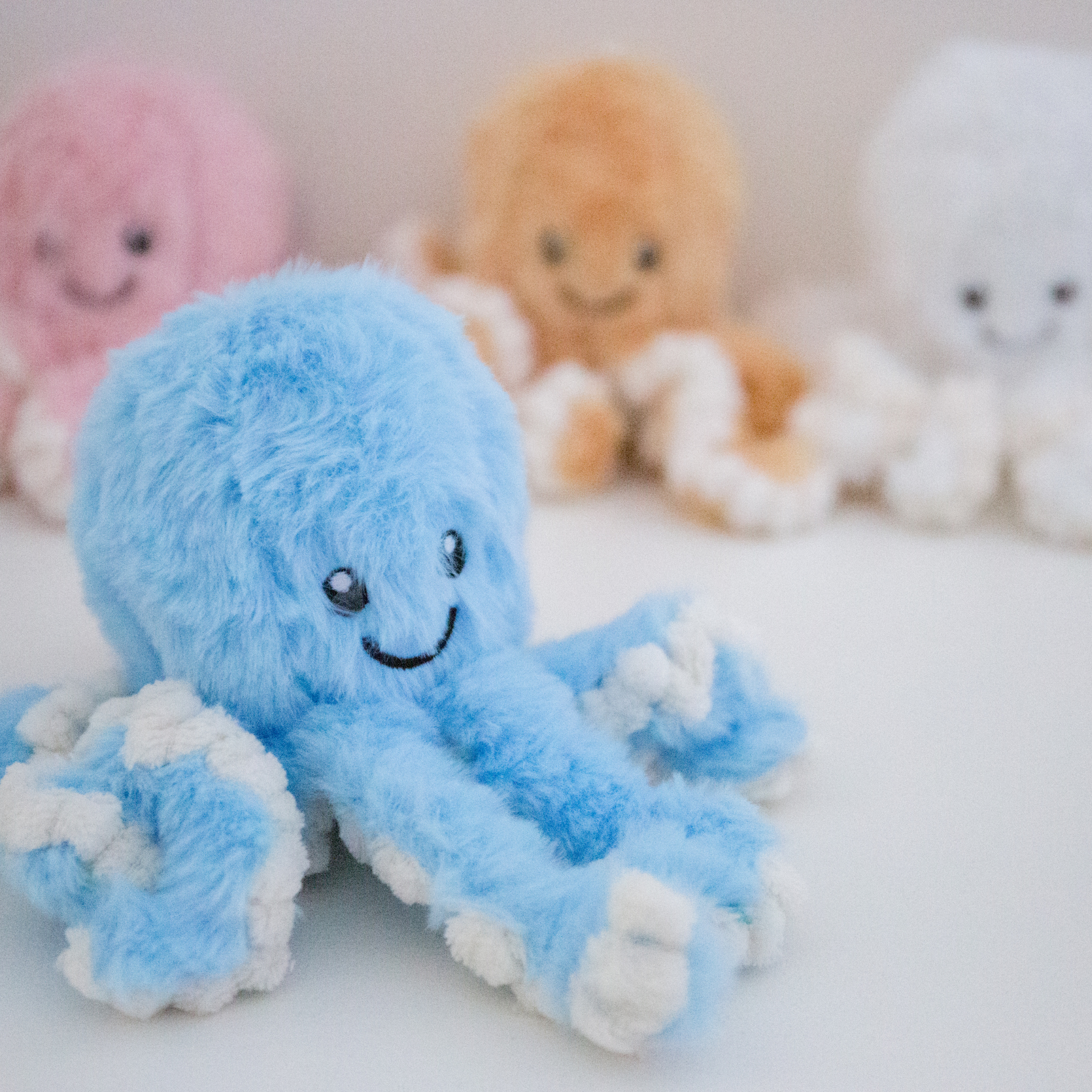 Sunny The Isolette Octopus