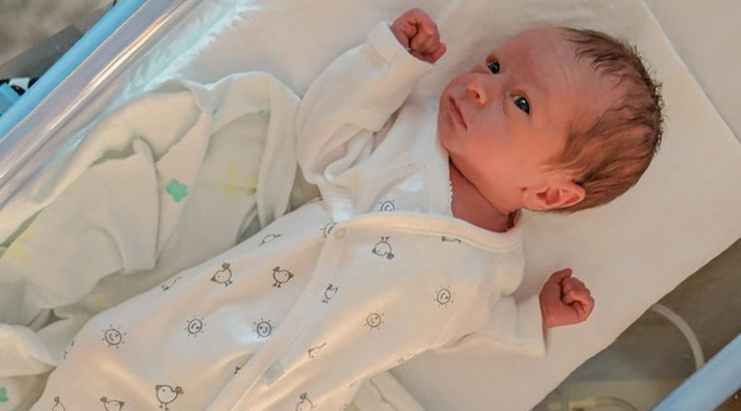 Earlybirds chats to mum Sally Polidano