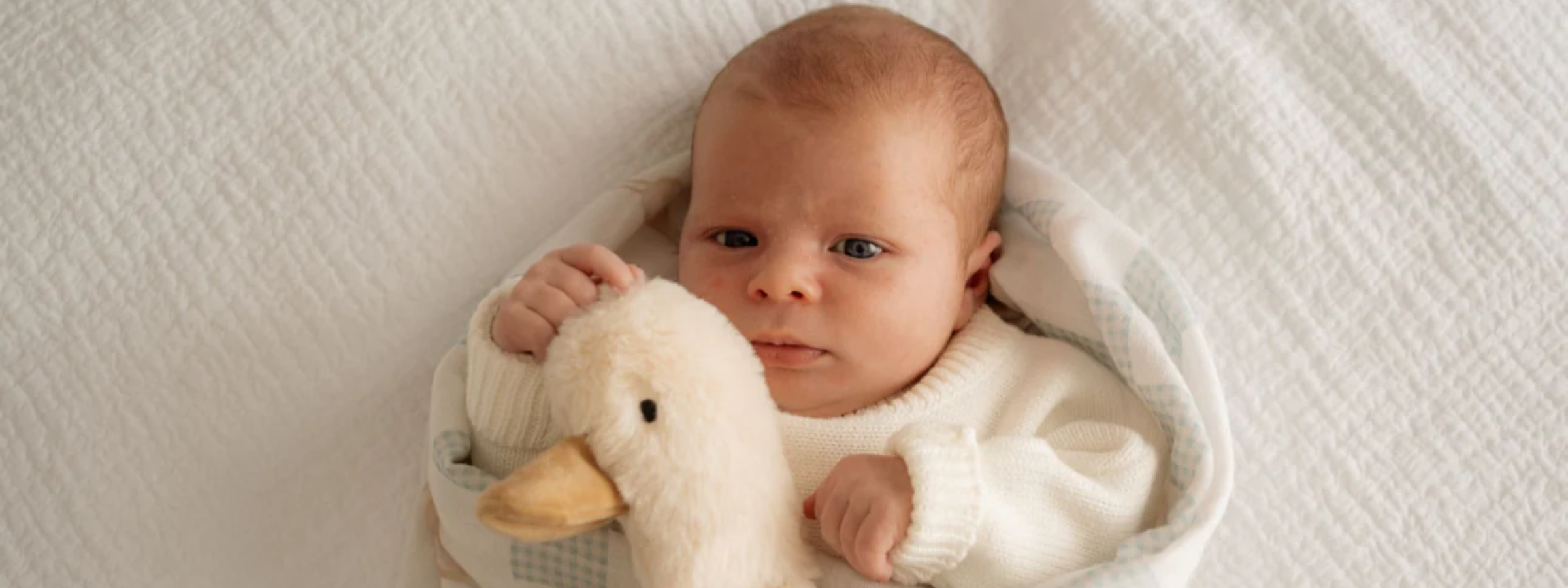 Soft Toys & Comforters