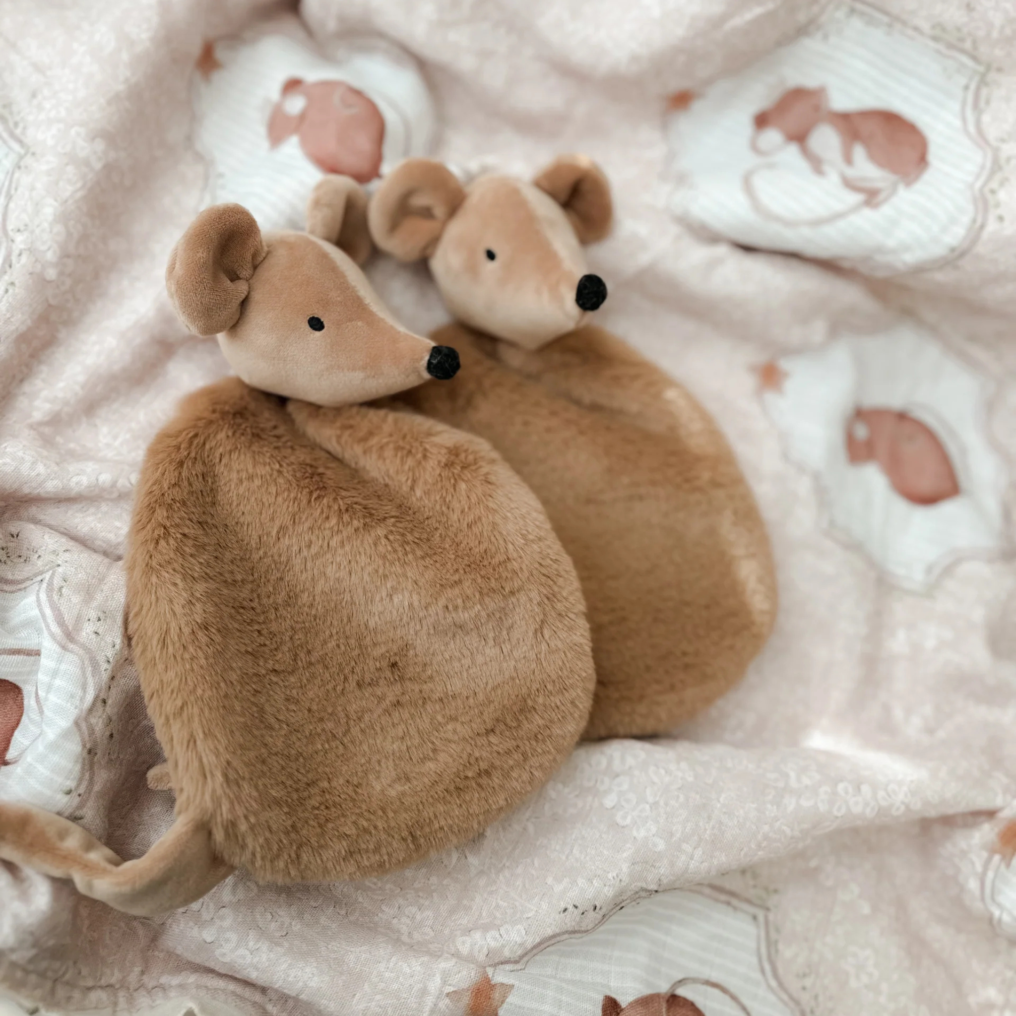 Squeaky the Sweet Comforter Toy