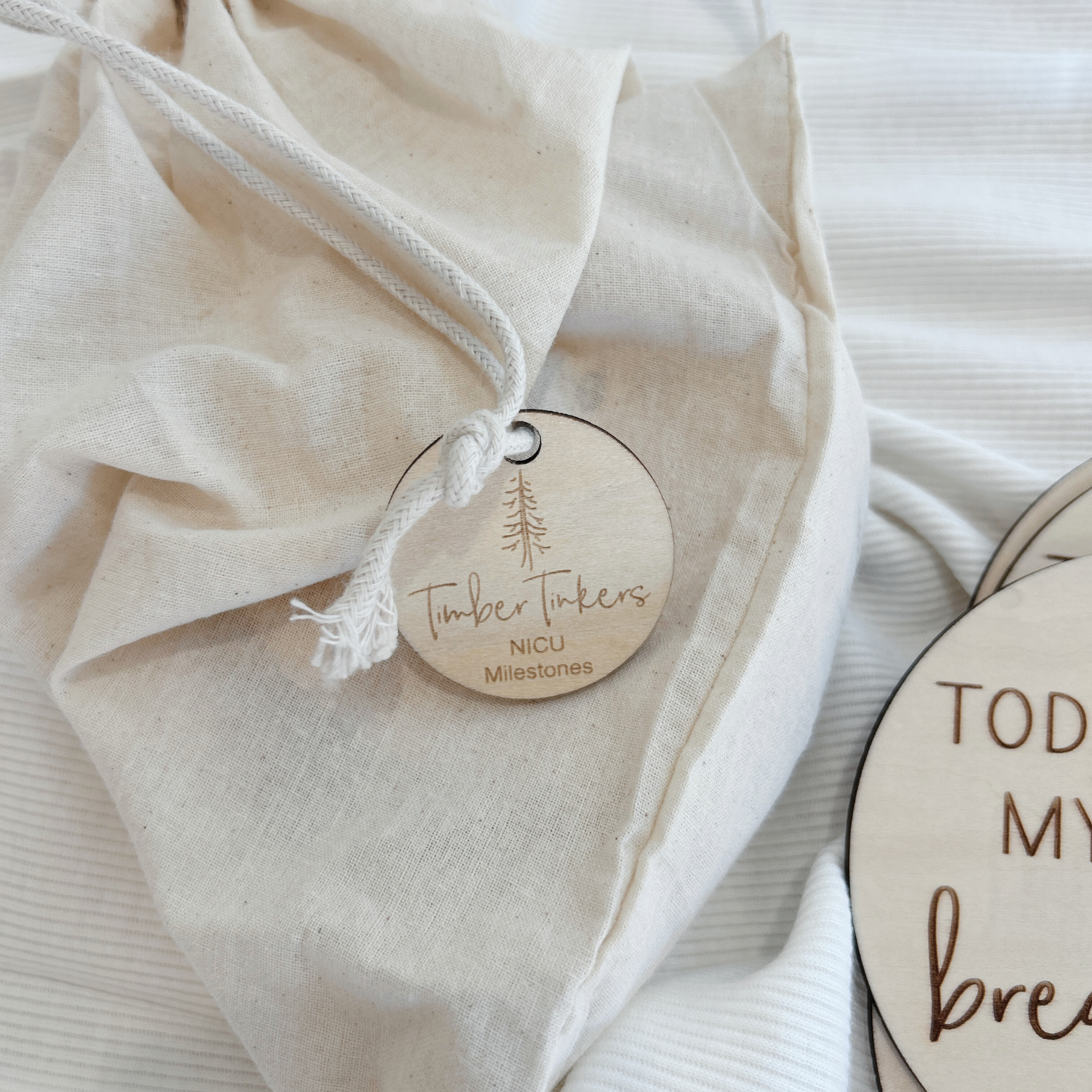 Premature Baby & NICU Wooden Milestone Plaque Set (13 Discs)
