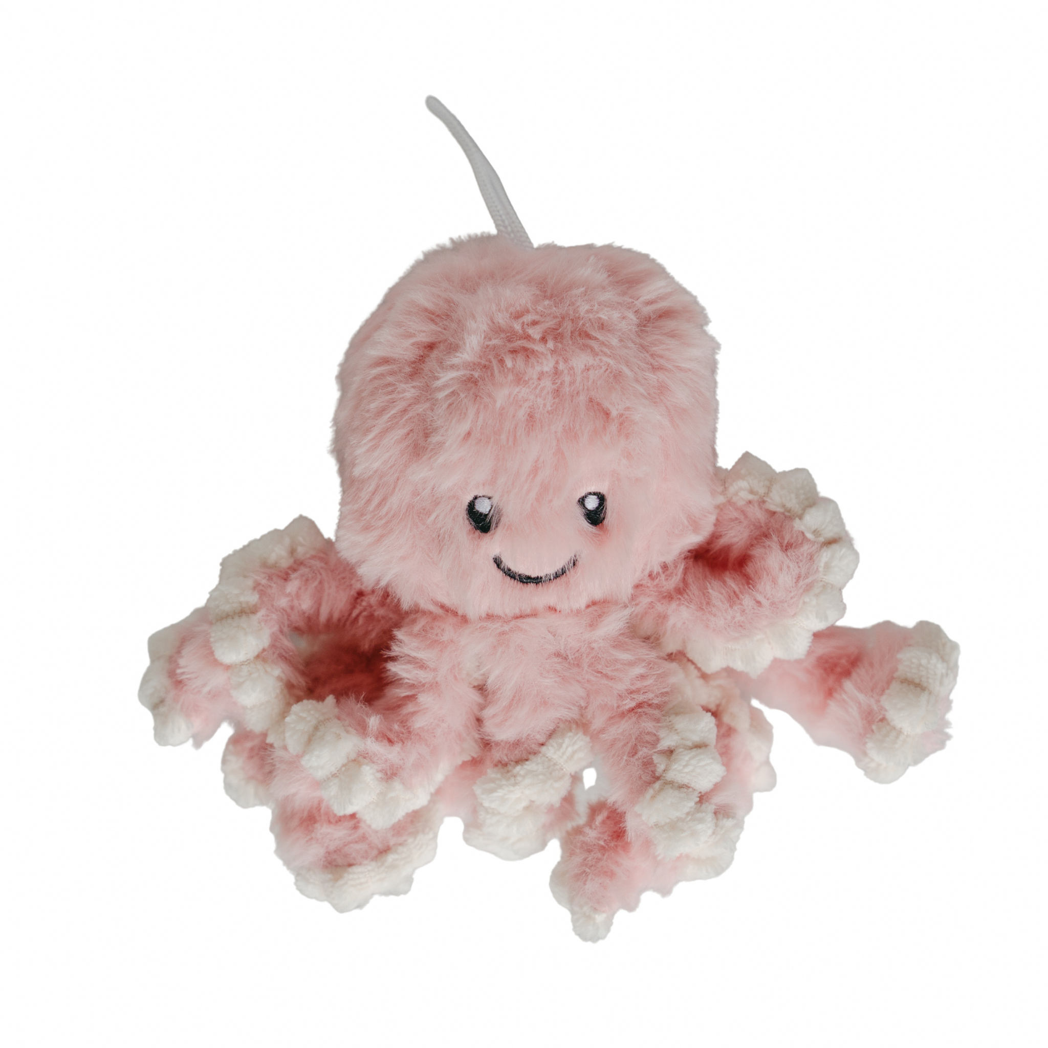 Sunny The Isolette Octopus
