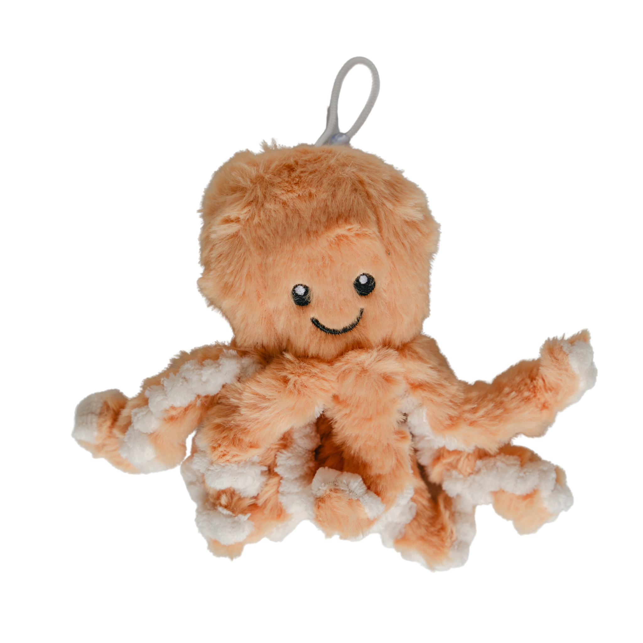 Sunny The Isolette Octopus